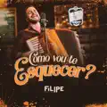 Como Vou Te Esquecer?