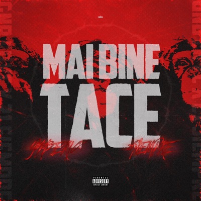 MAI BINE TACE (feat. 21Siiempre) - Single
