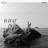 Delta Spirit - Home Again