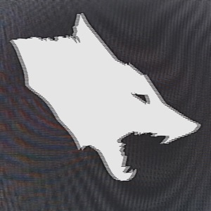 Dm004
