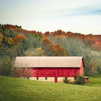 Juan Alencar - Farm Music