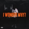 I Wonder Why? - Single