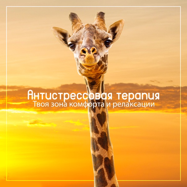 Антистрессовая терапия: Твоя зона комфорта и релаксации