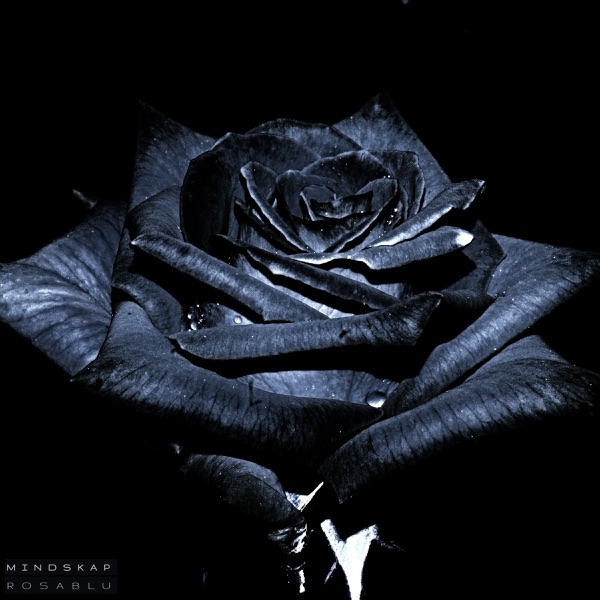 Rosablu - Single