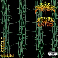 Peter Steele - Single - Lil Summoner