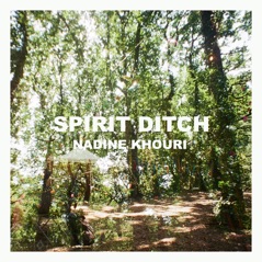 Spirit Ditch (feat. Adrian Crowley) - Single