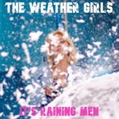 It's Raining Men artwork