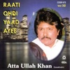 Raati Ohdi Yaad Ayee, Vol. 32