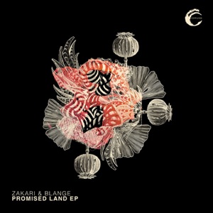 Promised Land - Single