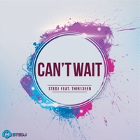 Can't Wait (feat. Thir13een) - Single - Stedj