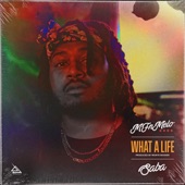 What a Life artwork