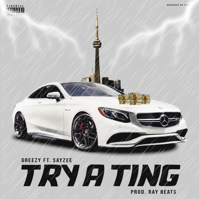Try a Ting (feat. Sayzee) - Single