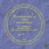 Dark Motions (Leonardo Gonnelli Remix)