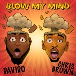 Davido & Chris Brown - Blow My Mind