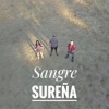 Sangre Sureña (feat. Desne & Nano Cortes) - Single