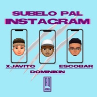 Subelo Pal Instagram (feat. Escobar & Xjavito) - Single - Dominikin
