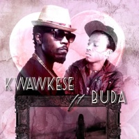 Odo Adaadaame (feat. Buda) - Single - Kwaw Kese