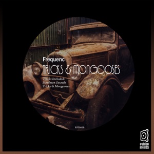 Tricks & Mongooses - Single