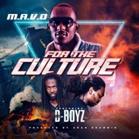 Album cover for For the Culture by M.A.V.O & D-Boyz