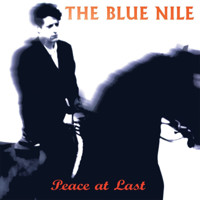 The Blue Nile - There Was a Girl artwork