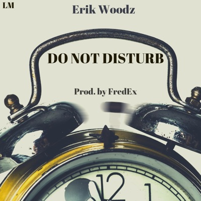 Do Not Disturb - Single