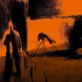 Mosquito