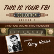 This Is Your FBI, Collection 1 - Black Eye Entertainment
