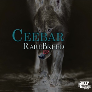 RareBreed - Single