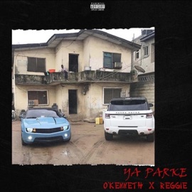 Ya Parke O'kenneth,reggie