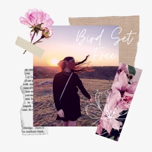Bird Set Free - Single