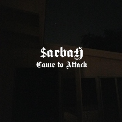 Came to Attack - Single