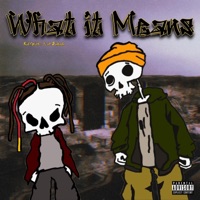 What it means (feat. ZAKADA) - Single - Kid Splinter
