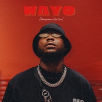Wayo (Amapiano Version) - Single - Mr. Jukeboxx