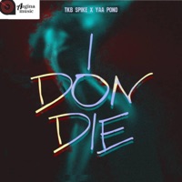 I Don Die (feat. Yaa Pono) - Single - TKB Spike