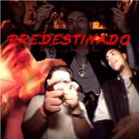 Predestinado - Single - DVitu & Marcelinx