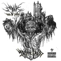 Spook (feat. Freddie Dredd) - Single - Lamm