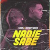 Nadie Sabe (feat. Camis) - Single