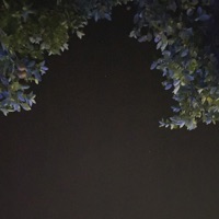 Momentos - Single - FP Dibala & Rhenan Duarte