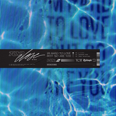 I'm Hard to Love, but so Are You, Vol. 2 - Single