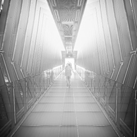 RUN! (feat. kuriosity) SAW