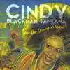 You Don't Wanna Breaka My Heart (feat. Santana)