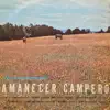 Cantarito de Peñaflor