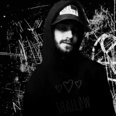 Shallowを聴いたり、ミュージックビデオを鑑賞したり、経歴やツアー日程などを確認したりしましょう！