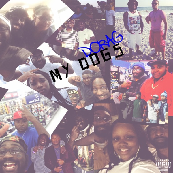 My Dogs