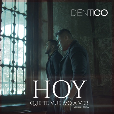 Hoy Que Te Vuelvo a Ver (Versión Salsa) - Single