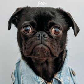 Like a Goof Jae Kidd