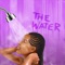 The Water (feat. Reece Mills) - Will Howard Jr lyrics