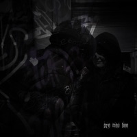 pro moji boo - Single - Brumiik