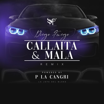 Callaita y Mala (feat. P la Cangri) [Remix] - Single