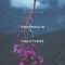 Fractures (feat. Alexandra Pride) - Anderholm lyrics